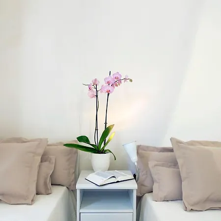Masseria Pagliamonte By Interhome