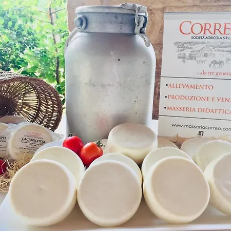 Masseria Pagliamonte By Interhome * Carovigno